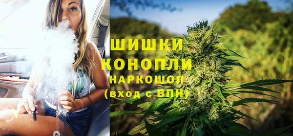 прущие крисы Бородино
