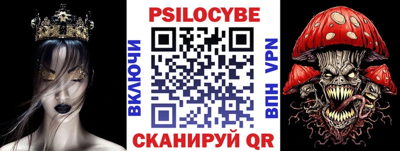 магазин продажи   Клин  Псилоцибиновые грибы Psilocybine cubensis 